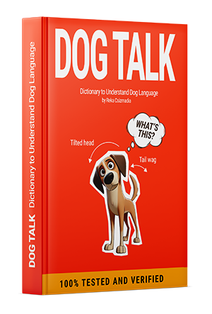 Dog Talk Book by Reka Csizmadia